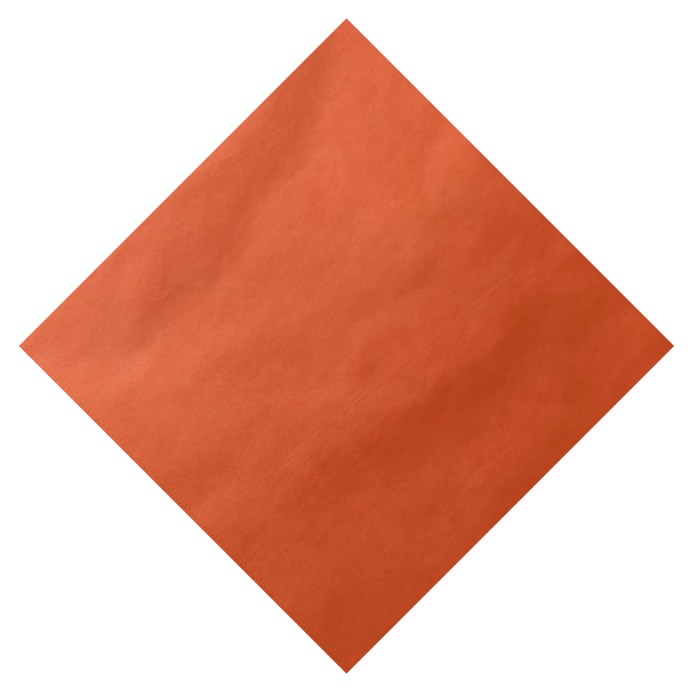 Papel Seda RIACHO de 40x40cm x100un