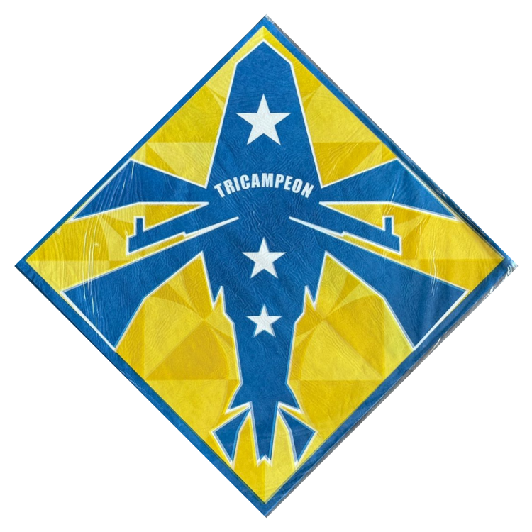 Papel Seda 40x40cm x100un