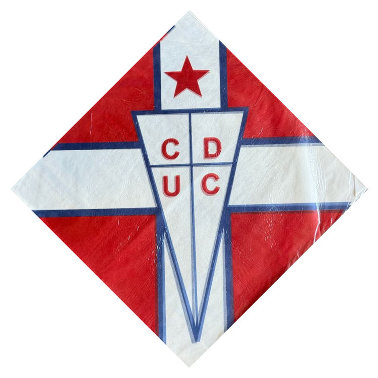 Papel Seda 40x40cm x100un