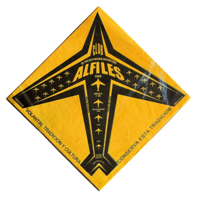 Papel Seda 40x40cm x100un