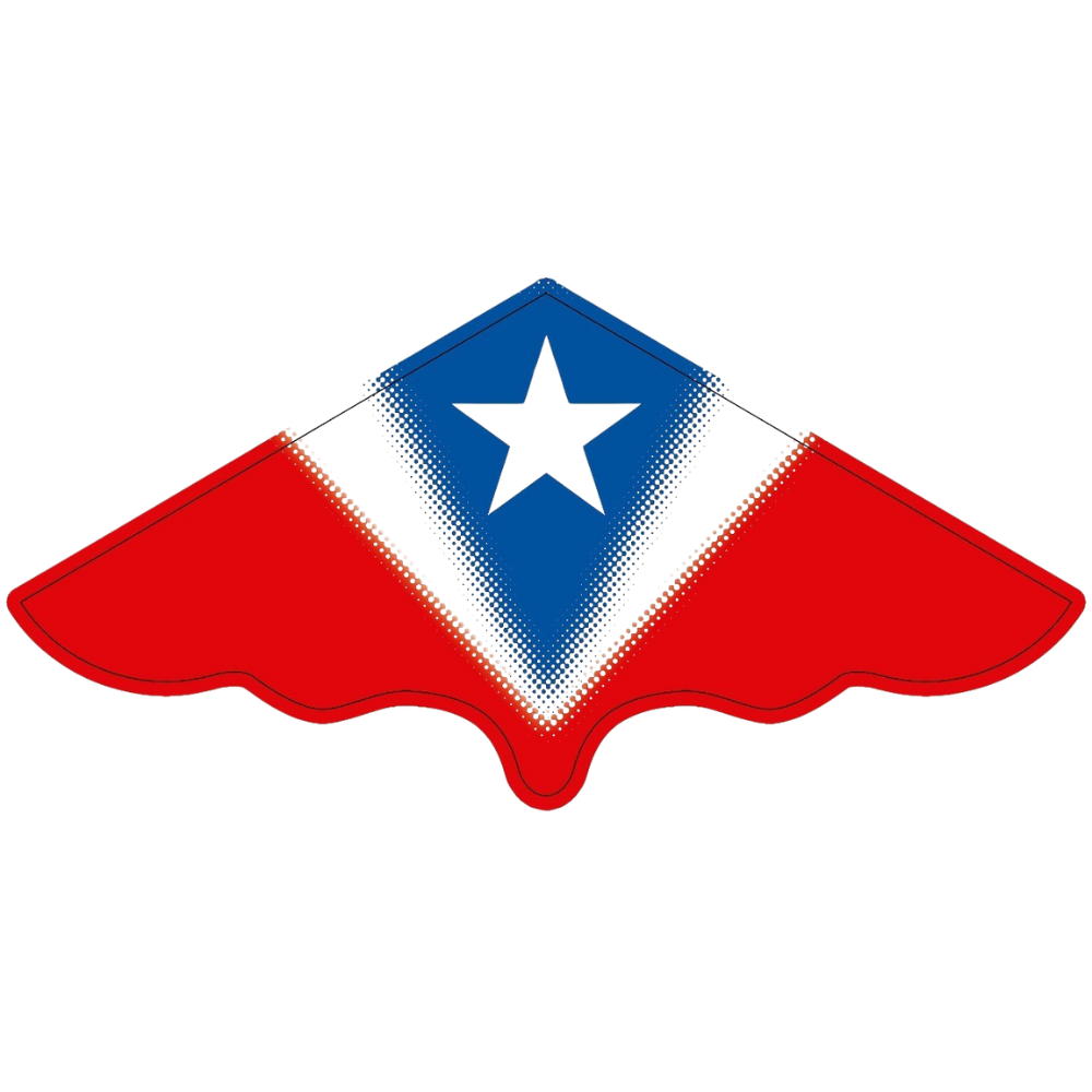 Cometas - Bandera Chilena (Docena) de 120x60cm